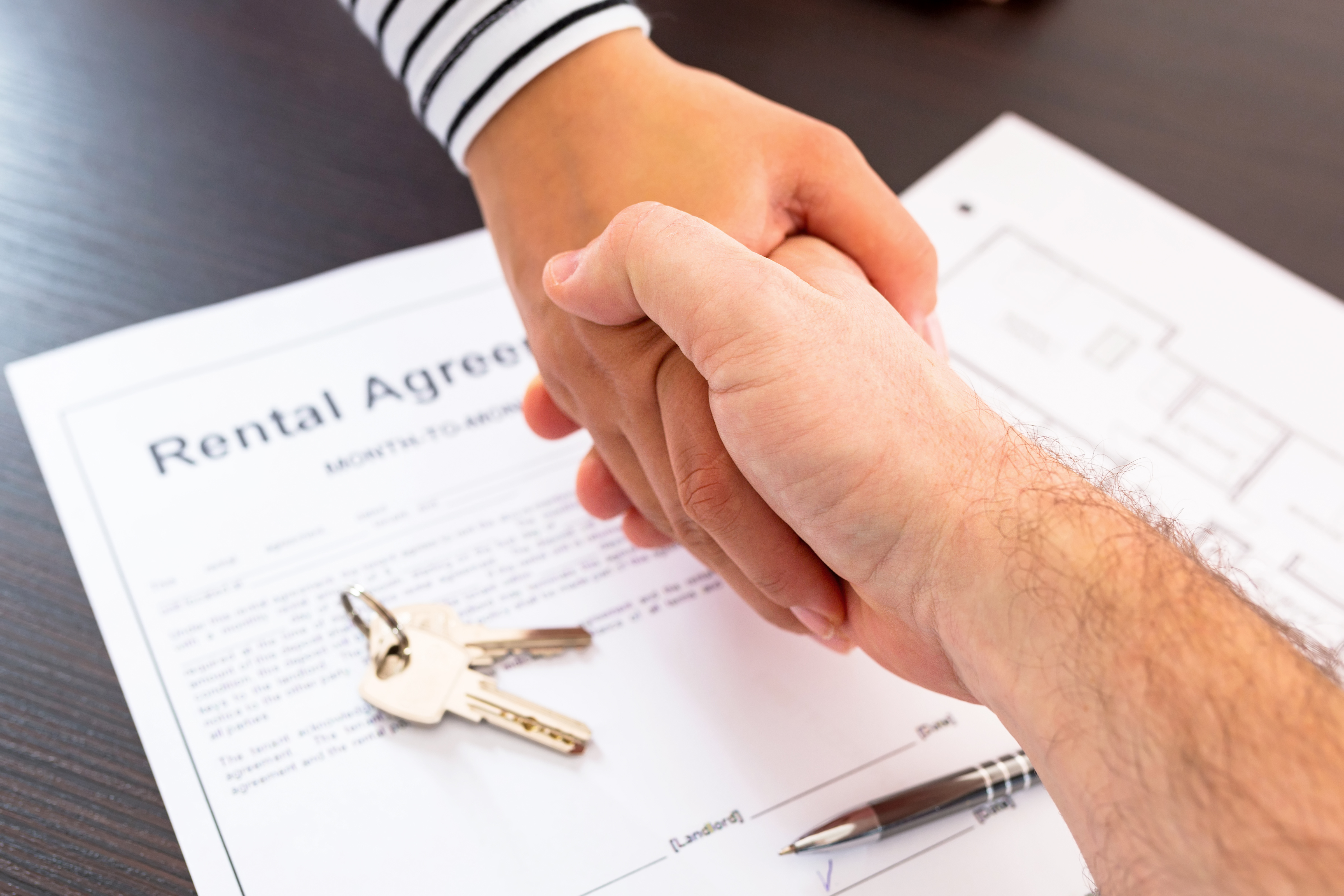 Professional real estate support for renting